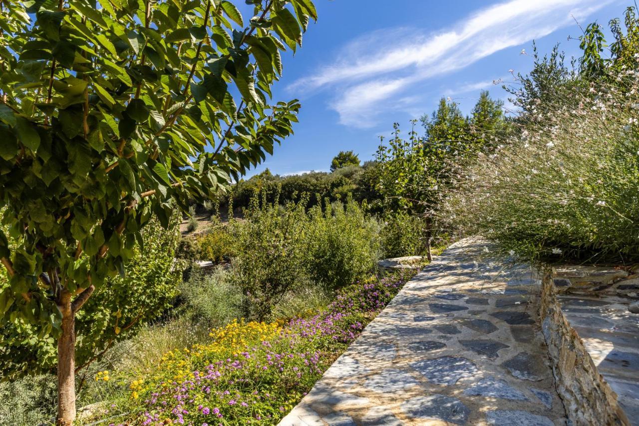 Villa Politimi Luxury Retreat Skopelos Exteriér fotografie